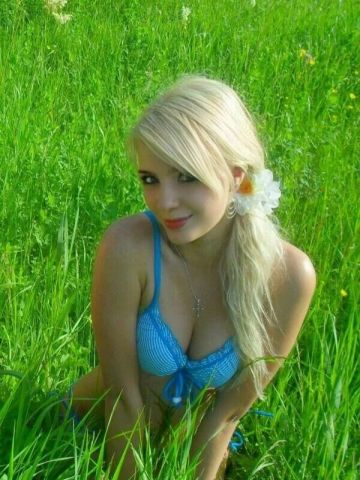 Стелла